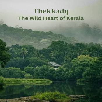 Packages in Thekkady