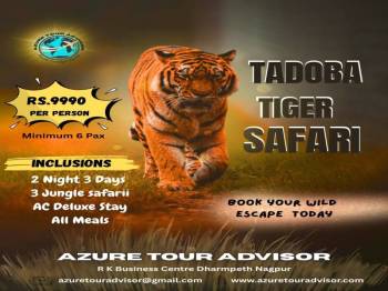 Sevagram, Anandvan, Hemalkasa, Somnath, Tadoba, Nagpur  5 Nights & 6 Days Package.