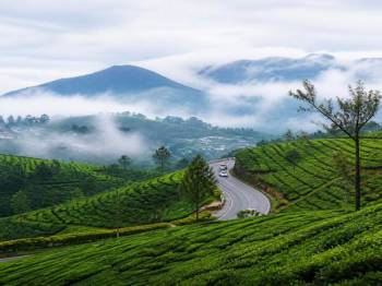 Bangalore Mysore Ooty Tour