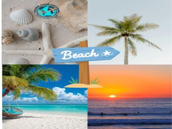 Best Kokan Tour 5 Nights / 6 Days – 4 Night Stay