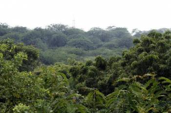 North East India Tour