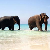 Exotic Andaman Group Vacation Tour