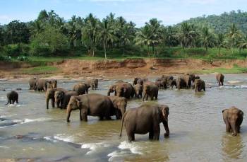 Sri Lanka – Jolly Tour - 5 Days