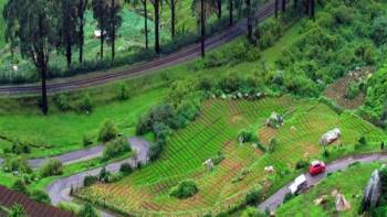 1 Night 2 Days Coimbatore to Ooty