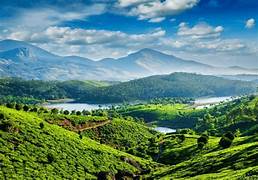 1 Night 2 Days - Theni Megamalai Package