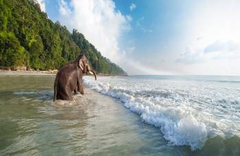 South Andaman Tour Packages