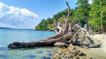 South Andaman Tour Packages