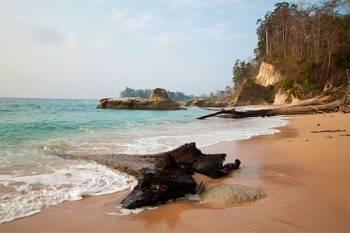 South Andaman Tour Packages