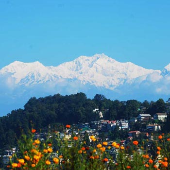 Darjeeling Gangtok & Kalimpoong Tour
