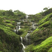Kerala Hill Station & Backwater Tour Package