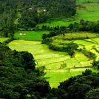 Bangalore - Coorg Package