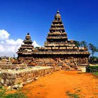 3 Nights and 4 Days Package - Mysore and Wayanad Tour