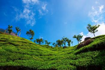 3Nights and 4Days Ooty Package