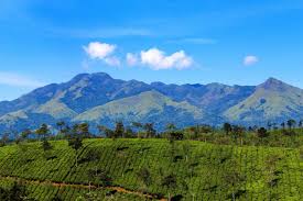 4 Nights and 5 Days Package Bangalore, Mysore and Wayanad