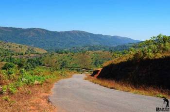 6 Nights and 7 Days Package – Bangalore, Coorg, Mysore and Ooty Tour