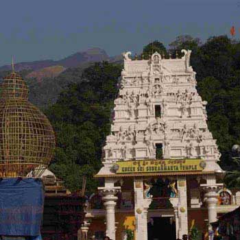 Jain Temple Tours