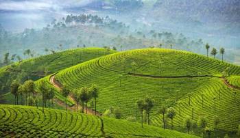 Glimpse of Kerala - 6N7D