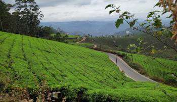 Exotic Kerala - 7N8D