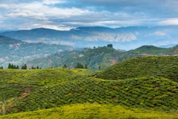 Himalayan Golden Triangle 5 Night - 6 Days Tour