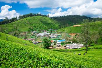 Mystery Mountain 5 Night - 6 Days Tour