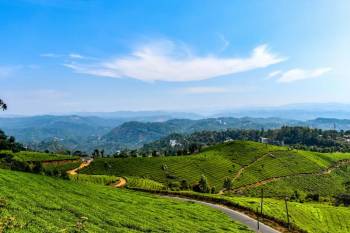 Pelling Tour Packages