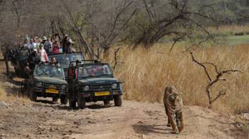 2 Night - 3 Days Ranthambore Tour Package