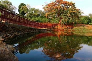 Madhya Pradesh Nature Trail Tour