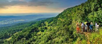 Nature's Lap - Wildlife Tour