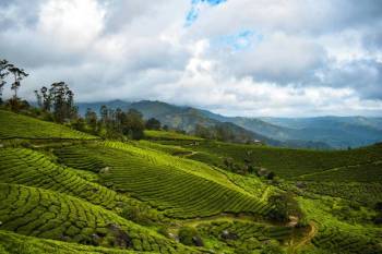 Ultimate Kerala Super Premium 7 Night - 8 Days Tour