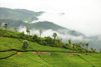 3 Night - 4 Days Karnataka Tour Packages