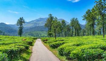 Best Of Karnataka 4 Night - 5 Days Tour