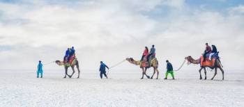 Kutch Wonders - Nature And Heritage 4 Night - 5 Days Tour