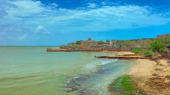Wildlife And Beach Of Gujarat 4 Night - 5 Days Tour