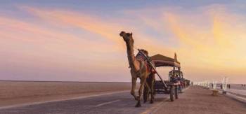 Cultural Heritage Of Kutch 5 Night - 6 Days Tour