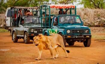 Divine Gujarat Journey 5 Night - 6 Days Tour