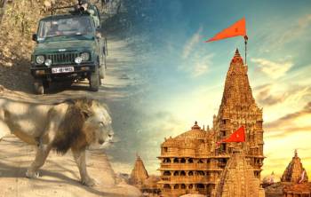 Cultural Gujarat 8 Night - 9 Days Tour
