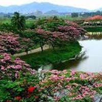 Beautiful Shillong with Guwahati Tour