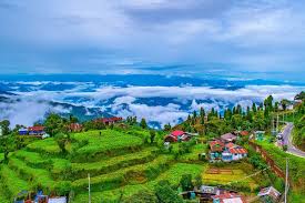 Darjeeling East Himalayan Glimpse