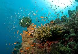 Beautiful Andaman Port Blair 3N + Havelock 2N