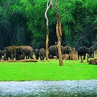 South India Package- Kerala for 7 nights/8days Tour