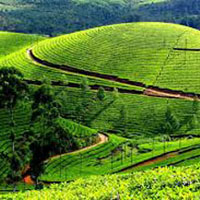 Short Escape to Ooty Package
