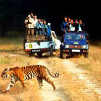 Uttarakhand Adventure Tour