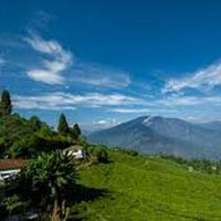 Delightful North East with Pelling Tour