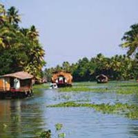 Kerala - Munnar - Thekkady - Kovallam (7N/8D) Tour