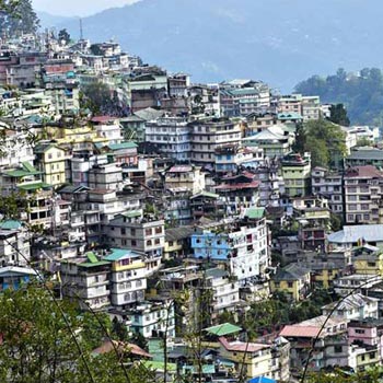 Packages in Darjeeling