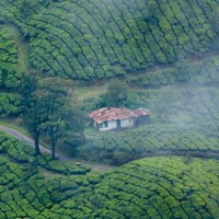 Mesmerizing Kerala With Kanyakumari Tour