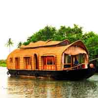Memorable Honeymoon At Kerala Backwater Tour