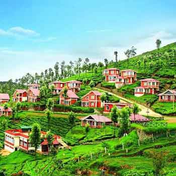 Garden of South India Tour