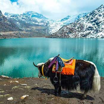 Mesmerizing Himalaya Tour