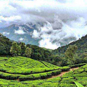 Emerald Kerala Tour